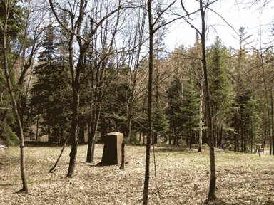 Current photo of the west bank of forge site